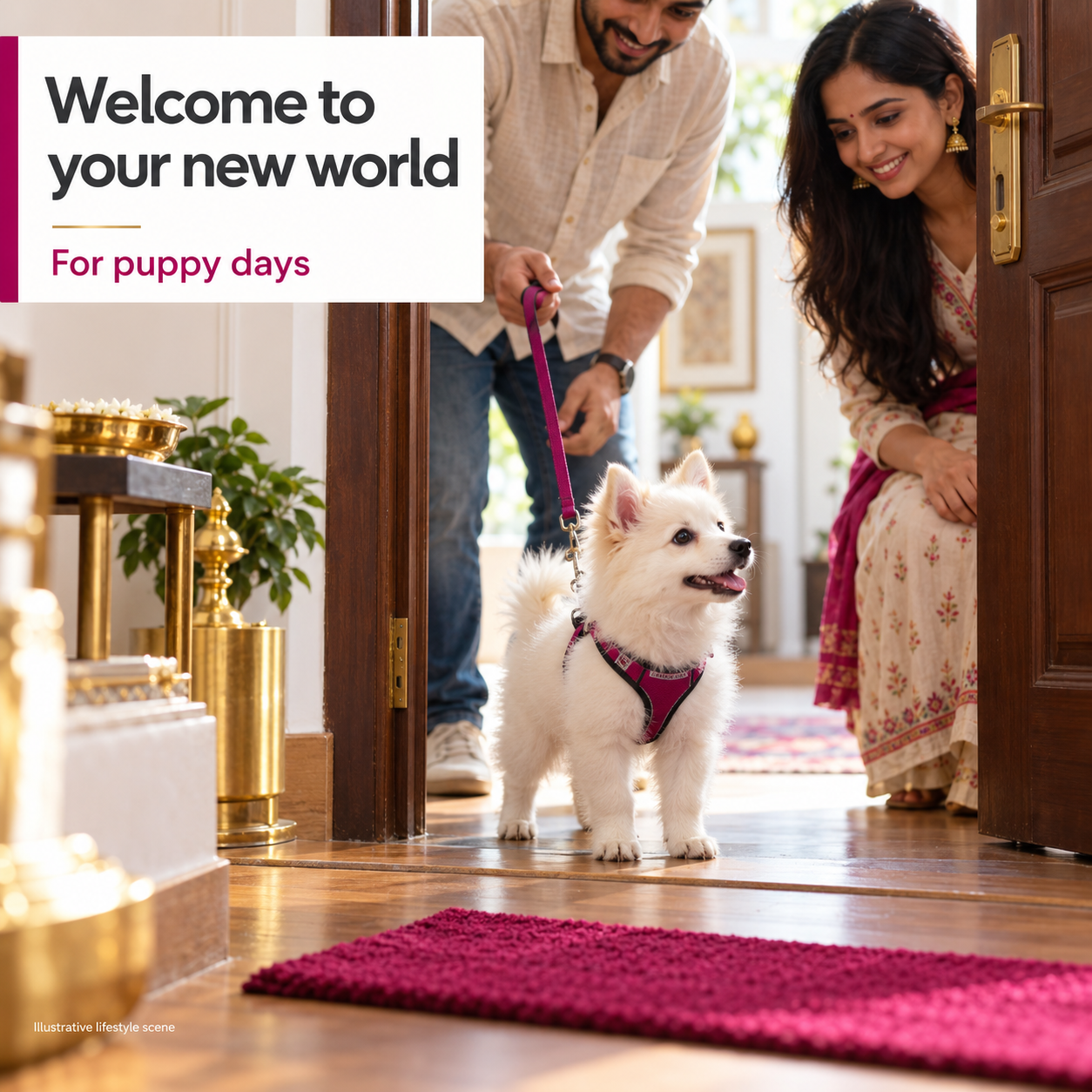 Canine Creek Premium Puppy Food 1.2kg 4 Illustrative small Spitz puppy welcomed home by two adult family members at the doorway