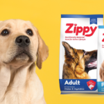 Zippy Dog Food Review Uncovering The Truth