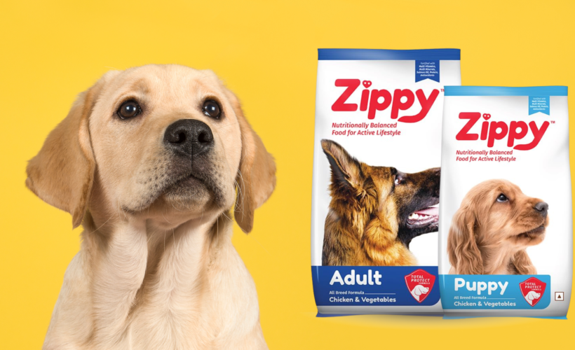 Zippy Dog Food Review Uncovering The Truth