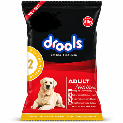 Supplier reference illustration of one Drools Chicken & Egg Adult Dry Dog Food 50 g sachet; packaging may vary