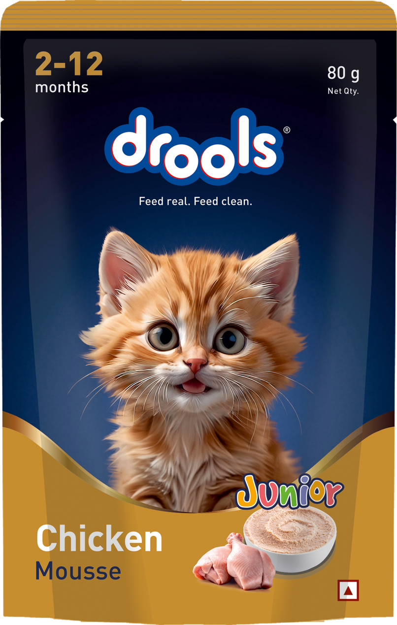 Drools Chicken Mousse Kitten Wet Cat Food – 80 g 1 Drools Chicken Mousse Kitten Wet Cat Food 80 g pouch